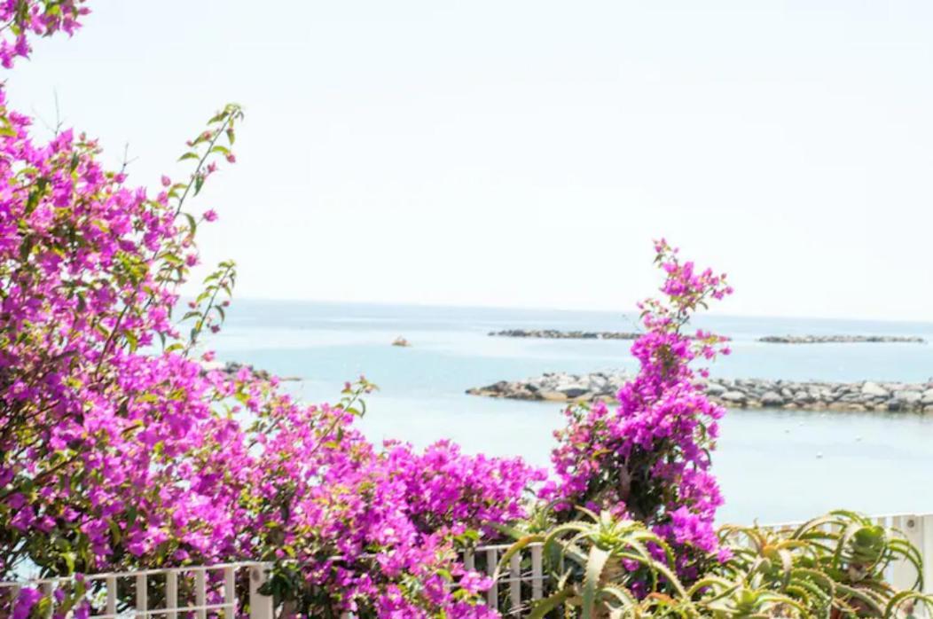 Rosa Centralissimo Σαν Ρέμο Εξωτερικό φωτογραφία